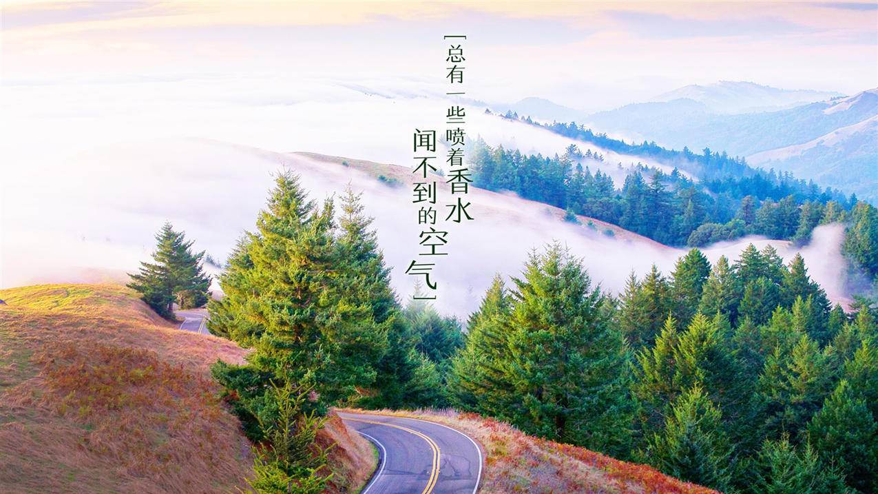启辰代刷-1元一万赞平台抖音-QQ秒赞网|免费秒赞平台|24h离线秒赞秒评|全网最大的免费秒赞网站