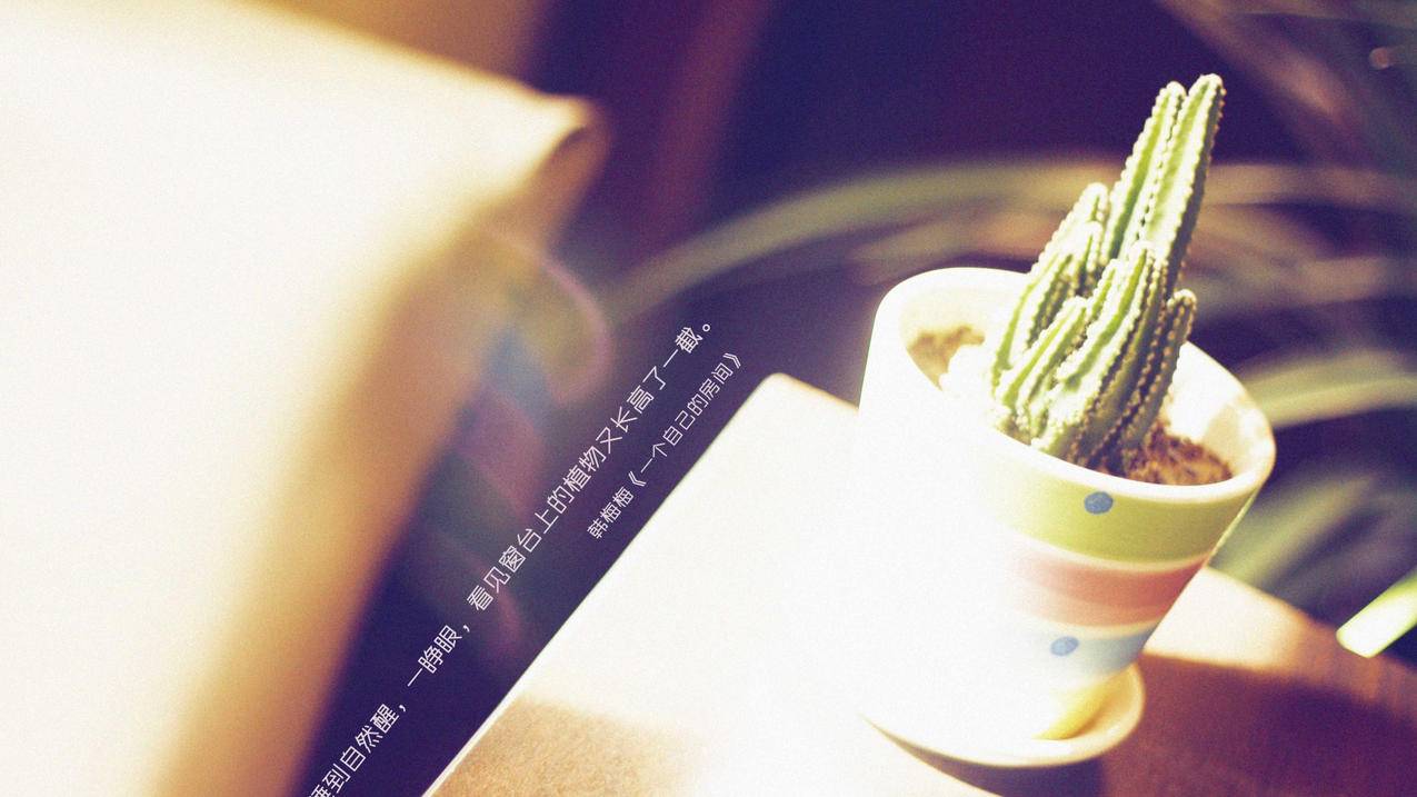 QQ空间赞代刷平台全网zui低-qq抖音代刷-抖音在线代刷