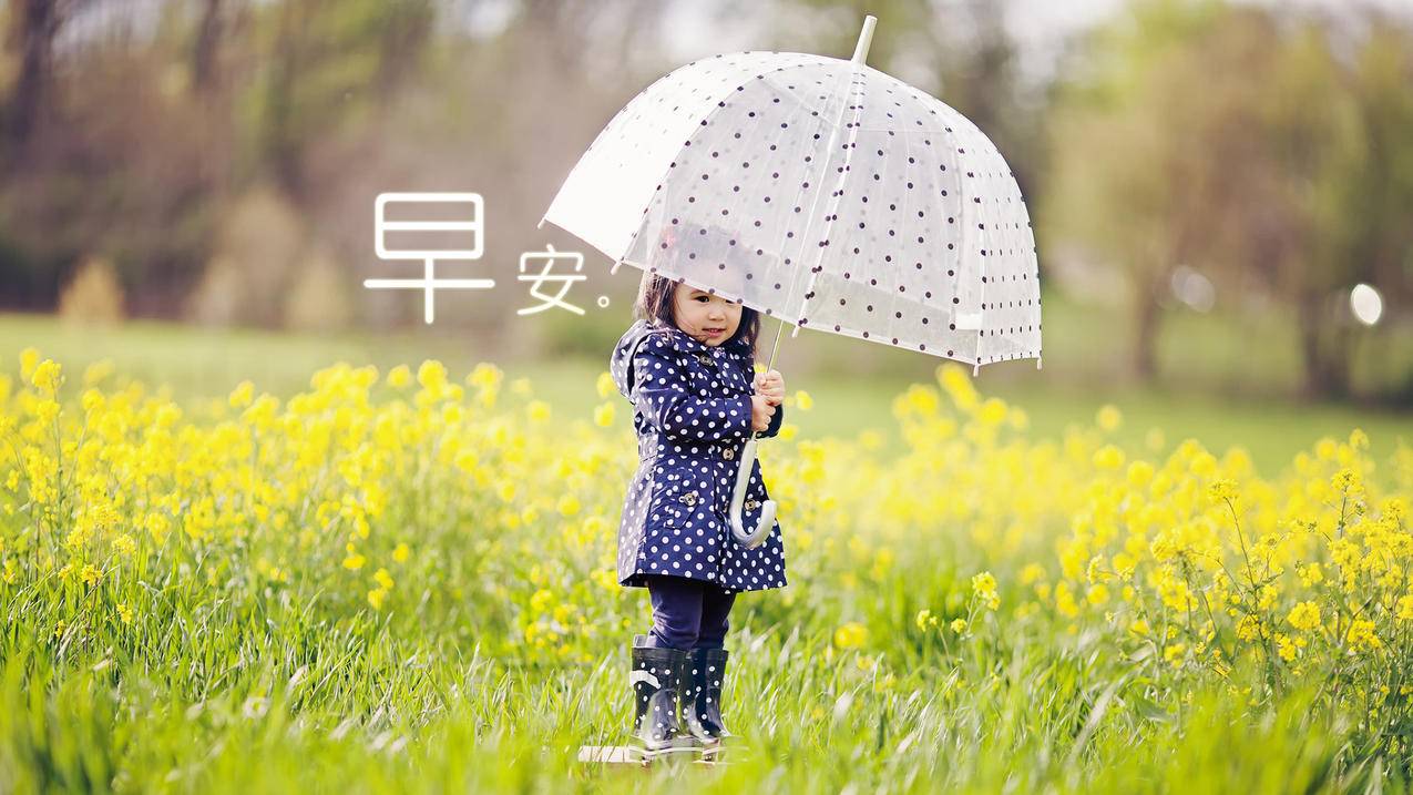 吉林快手代刷平台服务-快手业务发卡网,刷快手所有业务软件