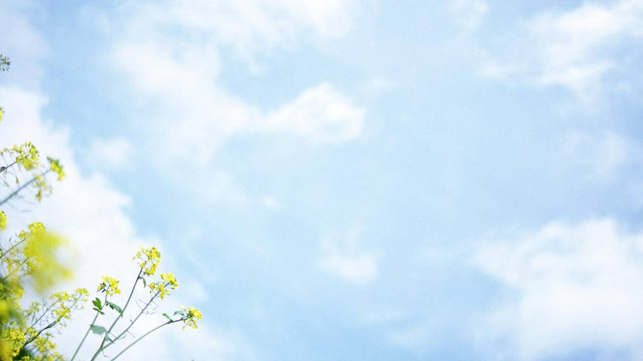 qq空间免费刷10赞