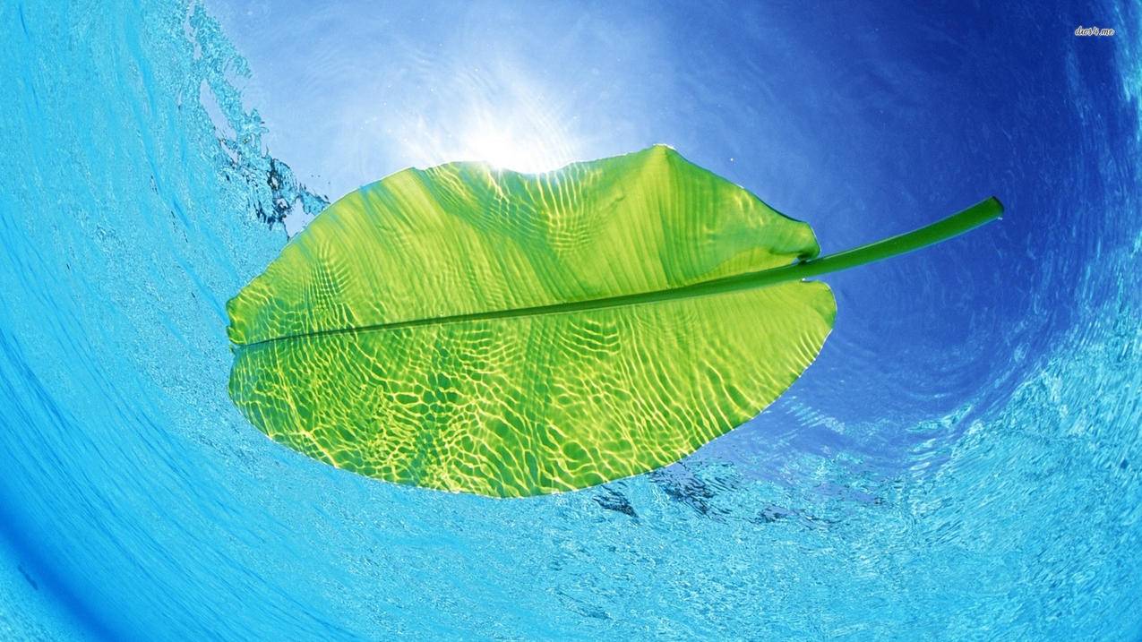全网最低价的刷会员网址-新新低价qq刷空间说说赞自助下单平台,快手刷抢置顶刷赞,快手业务平台自助下单网站