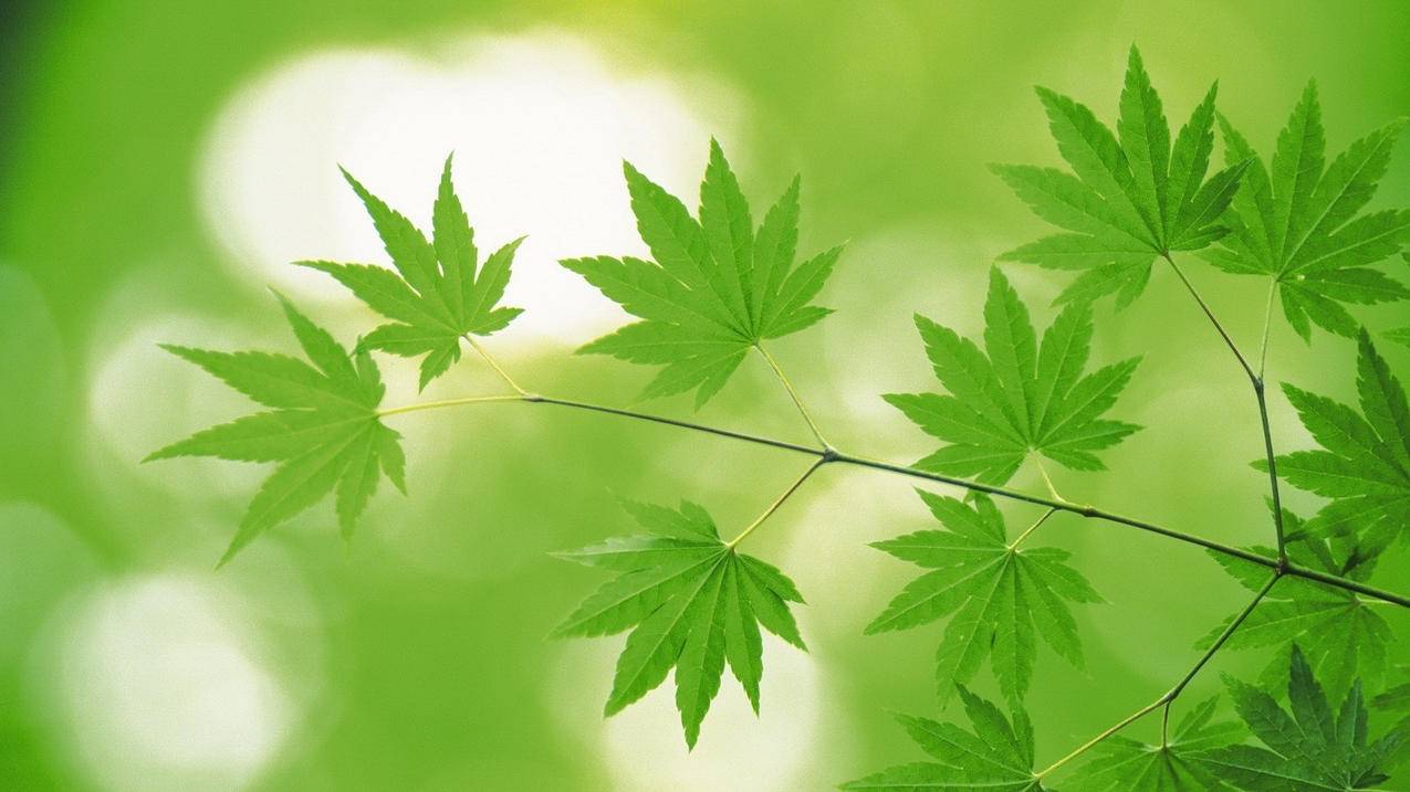 抖音刷赞业务网站平台147-卡盟平台官网B站粉丝,B站刷赞全网+最低价啊免费,B站刷赞评论首页推荐网站