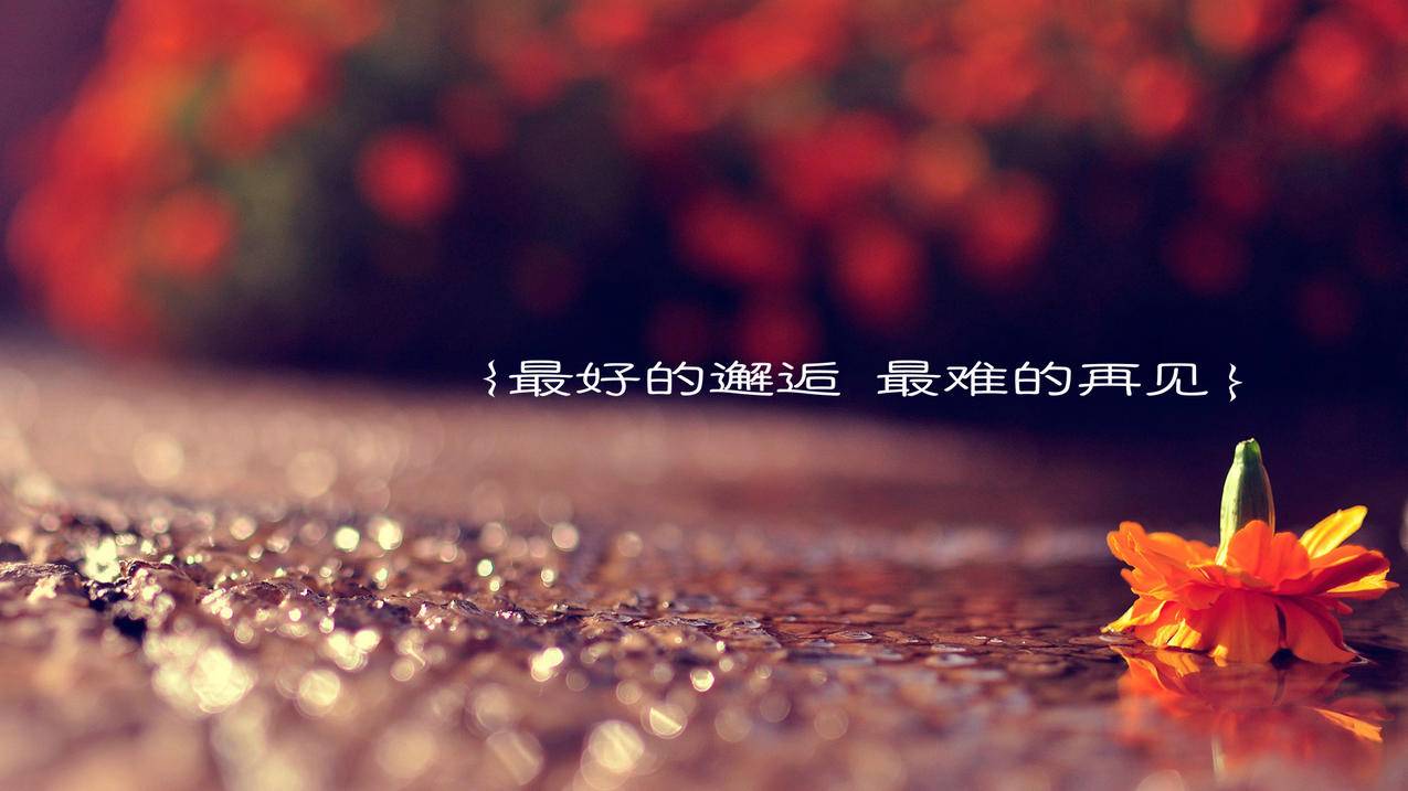 QQ空间点赞网站-微博刷帖,刷空间人气墨言代刷网抖音,qq免费一键刷赞