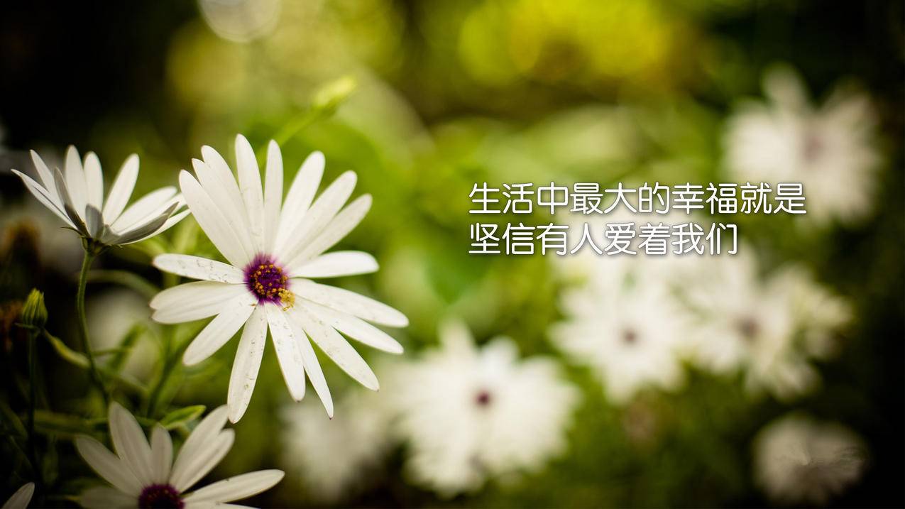 快手100个赞怎么买 - 低价空间说说赞自助下单,免费自助下单网