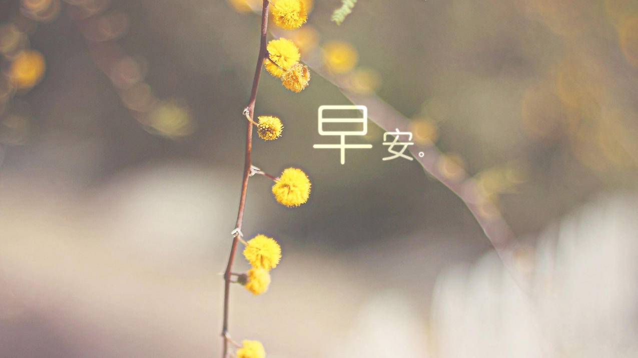 啊豪代刷 - qq代