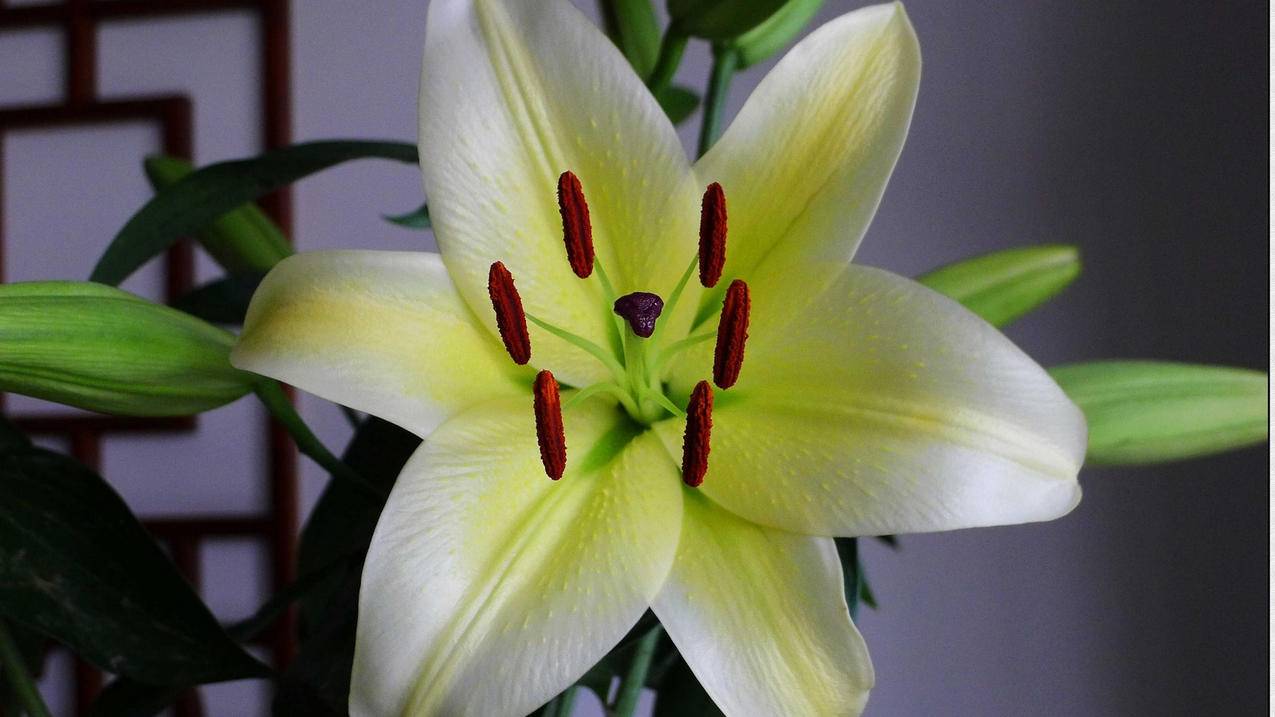 QQ刷赞便宜网站-k