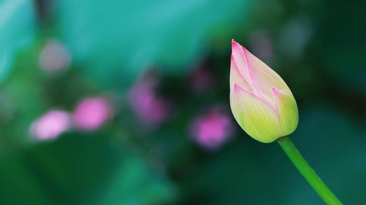 全网最低价刷 - 低价qq名片赞网址,卡盟刷qq空间赞,qq业务自助下单平台真人,QQ代刷网自助下单
