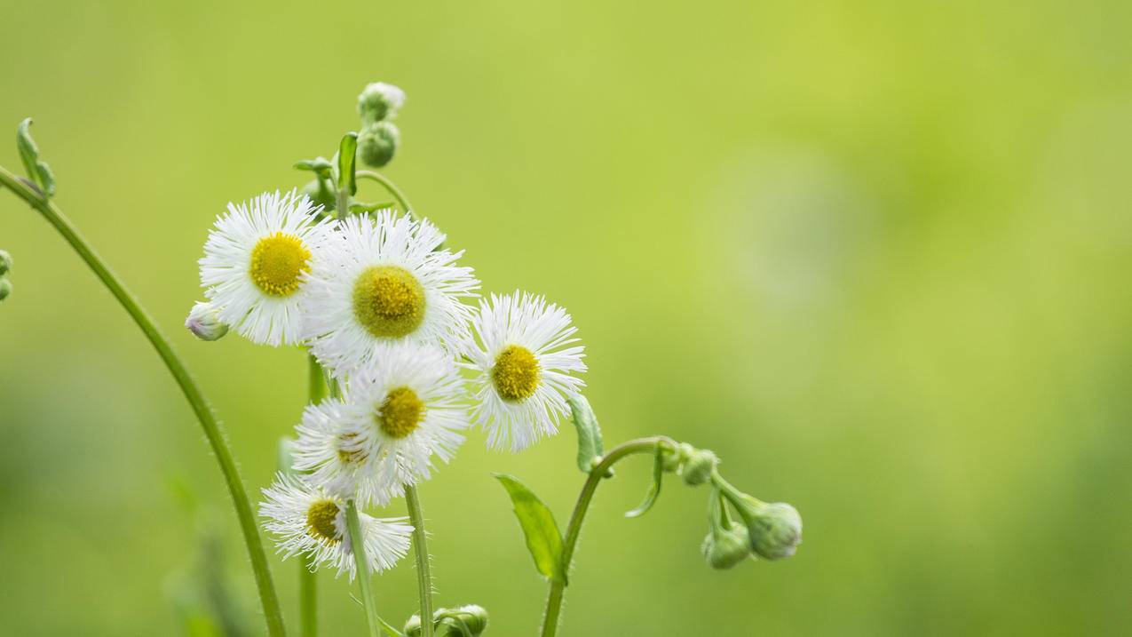 空间人气王免费刷说说赞,抖音刷双击秒刷