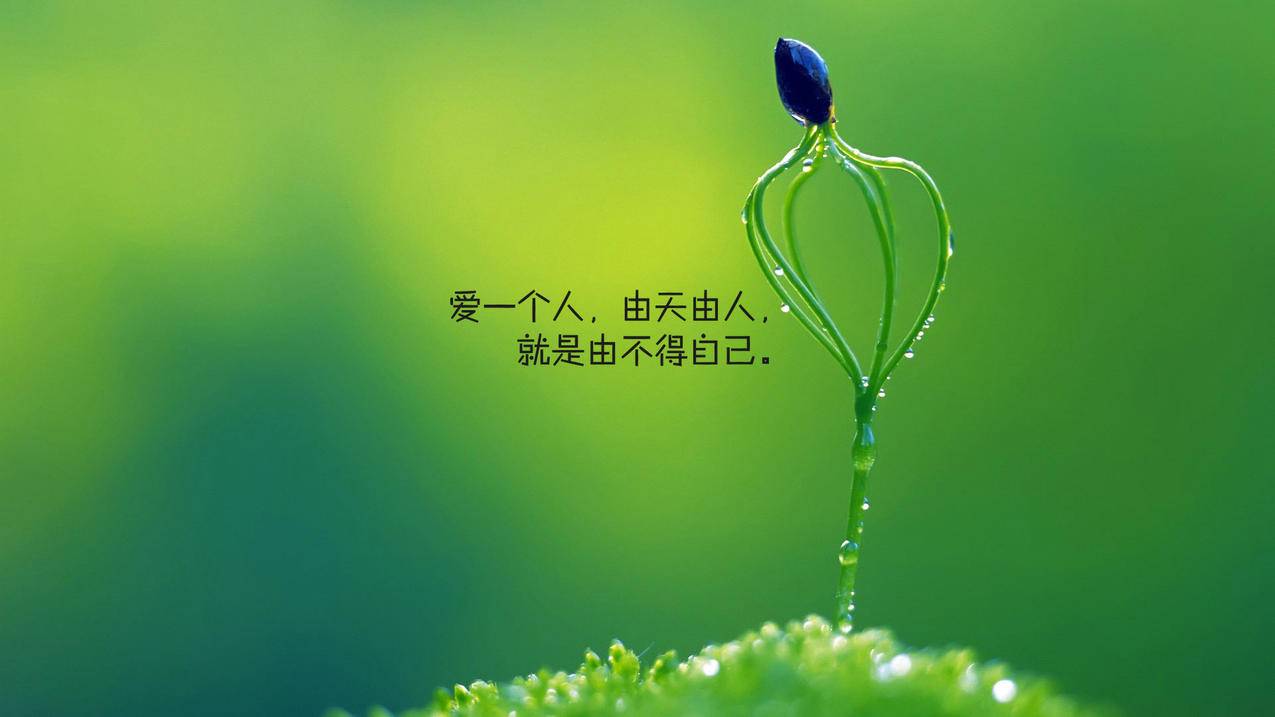 代刷抖音1元10万粉
