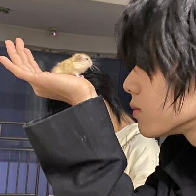 快手刷10万赞要多少钱-抖音买赞一元300赞-辉煌代刷平台